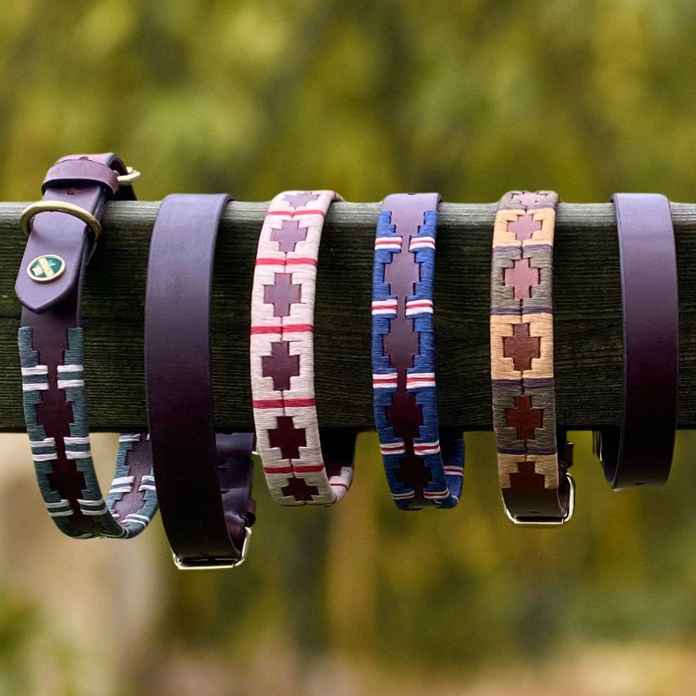 Aantal verschillende polo halsbanden hangend aan een hek.