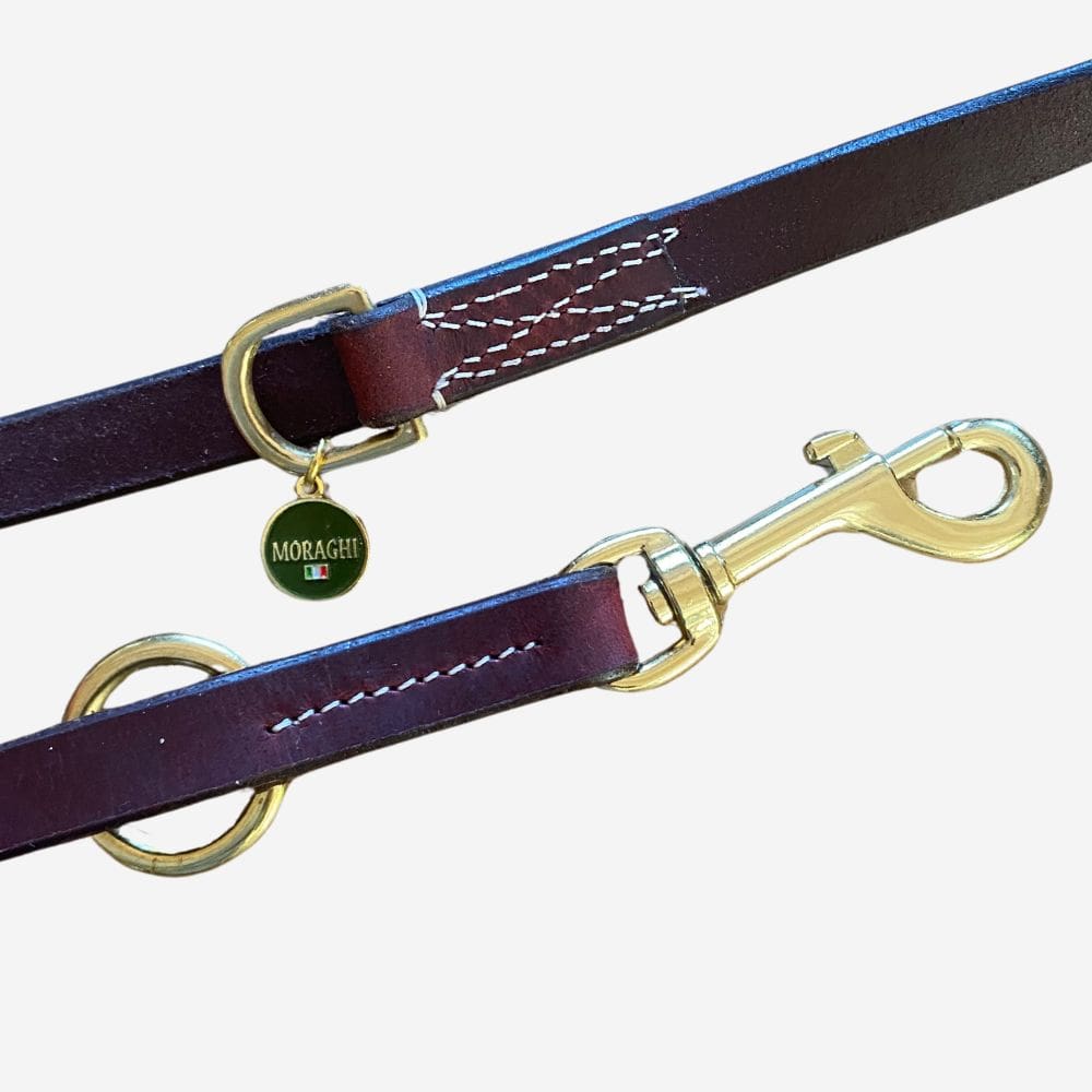 Detail van hondenriem met koperen musketon