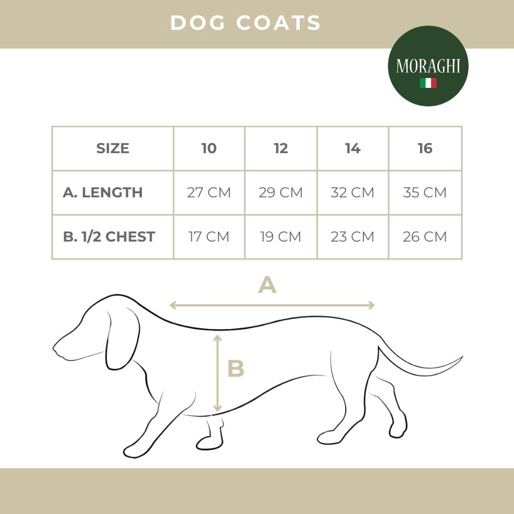 Maattabel hondenjasjes