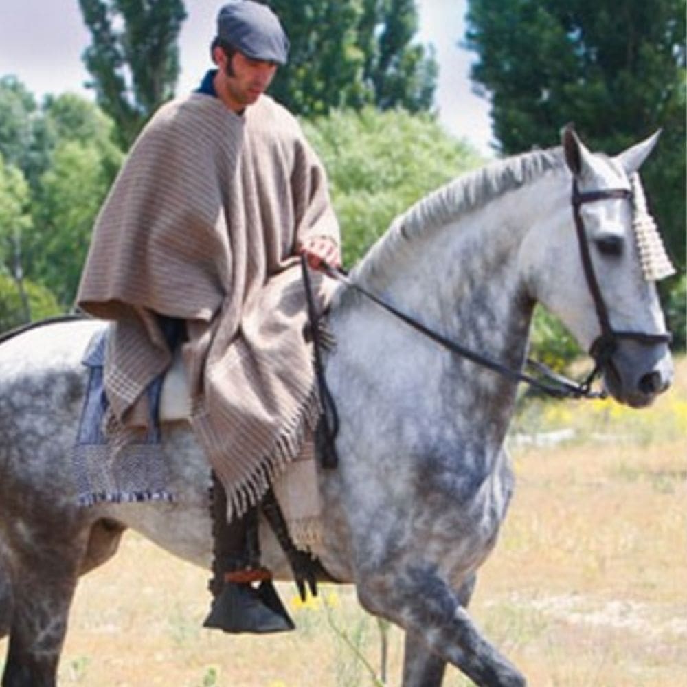 Ruiter/veedrijver op een Iberisch paard die een traditionele spaanse poncho draagt.